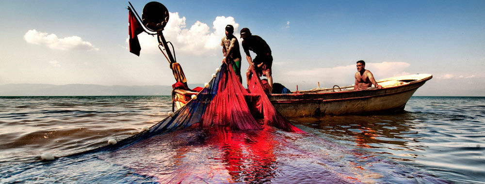 China am besten HDPE Fischernetze en ventes