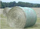 HDPE binden runde Heuballen landwirtschaftliche Plastikfiletarbeit für Grasballenpressen oben fournisseur